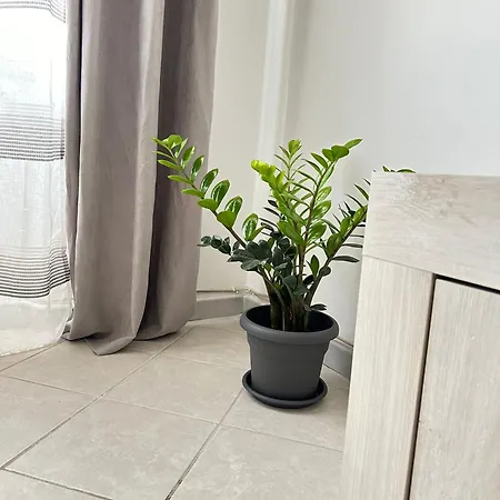 Osy Apartment *
